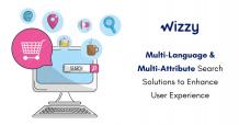 Wizzy's Multi-Language & Multi-Attribute Search Solutions to Enhance User Experience