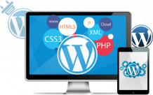 Best WordPress Website Development Services in India ,USA