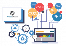 Hire Dedicated WordPress Developer India - Wordpress Theme & Plugin Developer