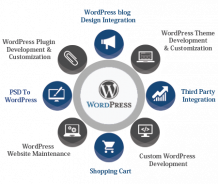 Custom Wordpress Website Development Company in India