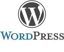 WordPress Development Company India | Custom WordPress Development Services