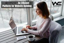  WordPress website development in USA 