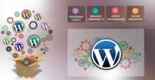 Experienced Wordpress Website Design Dubai Company