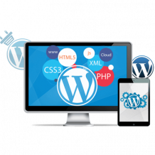 Get the Quality WordPress Development Services in India