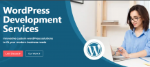 Best Wordpress Development Services