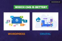 Drupal Vs WordPress | Which Is Best CMS? | Temok Hosting Blog