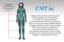 Charcot-Marie-Tooth Disease (CMT) - Symptoms, Causes, and Treatment