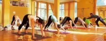 200 Hour Yoga Teacher Training in India