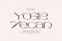 Yogie Vecan Font Free Download Similar | FreeFontify