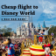 How to Get a Cheap Flight to Disney World? | JohnCarlos6790