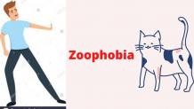 What Is Zoophobia Mean, Symptoms, Treatment, Aero Zoophobia