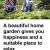 Get a garden in your home that gives you joy and peace of mind always