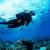 Scuba Diving At Andaman Islands