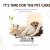        Pet Grooming Singapore              | thepets's Site     