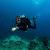 Bali Diving Course - Diving Prices and Course Packages