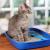 Is Your Cat&#039;s Litter Box Clean? The Best Tips For A Clean Cat Litter - Truegossiper