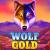 Wolf gold slot and its characteristics - Truegossiper