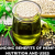 10 Outstanding Benefits of Hemp Seed Oil: Nutrition and Uses