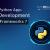 The Best 9 Python Frameworks for App Development in 2025