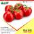 best tomato seeds in India