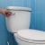 The ultimate guide of buying a Toilet