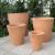 Buy Flowerpots & Planters