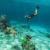 Scuba Diving Activities in Havelock Island