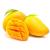Top mango fruits supplier in India, Wholesale mango fruits supplier in India