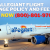 800-801-9708 Allegiant Flight Change Policy and Fees | Allegiant Airlines Reservations