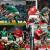 2025 Six Nations Tickets: Wales vs Ireland, A Battle of Ambition and High Stakes in the Six Nations 