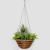 Garden Accessories: Buy Garden Accessories Online for Home at best price in UAE | Danube Home