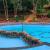 Corbett Tiger Resort - Book Best Luxury Resort in Jim Corbett, Ramnagar
