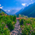 Valley of Flowers Trek Tour Package 2019 | Itinerary for Valley of Flowers National Park Uttarakhand India