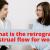  What is retrograde menstrual flow for women? - DGS Health  