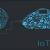 Digital Assessment | Digital Transformation | OTS Solutions