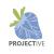        ProjectiveTech              | Projective Technology GmbH     