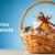 Ways You Can You Customize Gift Baskets - Truegossiper