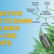 6 Effective Ways To Earn Backlinks For A CBD Website