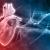 What is a Coronary Angiogram and Its Risks