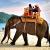 Andaman Tourism Packages,Affordable Andaman  Holiday Packages