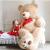 Adding a Teddy Bear is Adding Joy to Your Child! Here's Why...