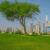 Dubai Announces 5-Year Retiree Visa | LuxuryProperty.com