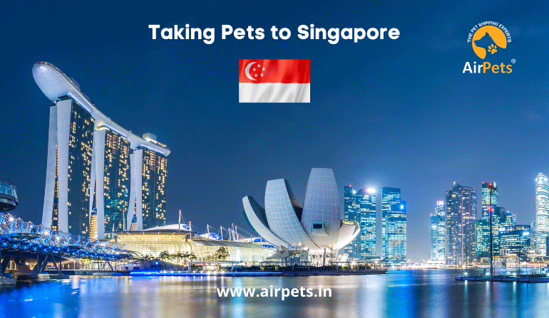 Taking Pets to Singapore - Pet Travel Blog | Pet Friendly Travel Blog | Pet Care Blog