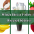 A Kidney-Friendly Diet To Reverse Chronic Kidney Disease