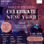 Aahana Resort New Year Packages | New Year Packages near Delhi