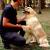 Adestrador de cães no Morumbi - Renan Adestrador