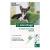 Buy Advantage For Small Dogs Up To 4Kg (Green) Online