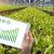 AgTech Software Development | AgTech Solutions