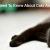 All You Need To Know About Cats And Worms - CanadaVetCare Blog