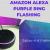 Get Tips to Solved The Amazon Alexa Purple Ring flashing Light issues